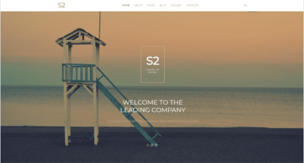S2 Company Business